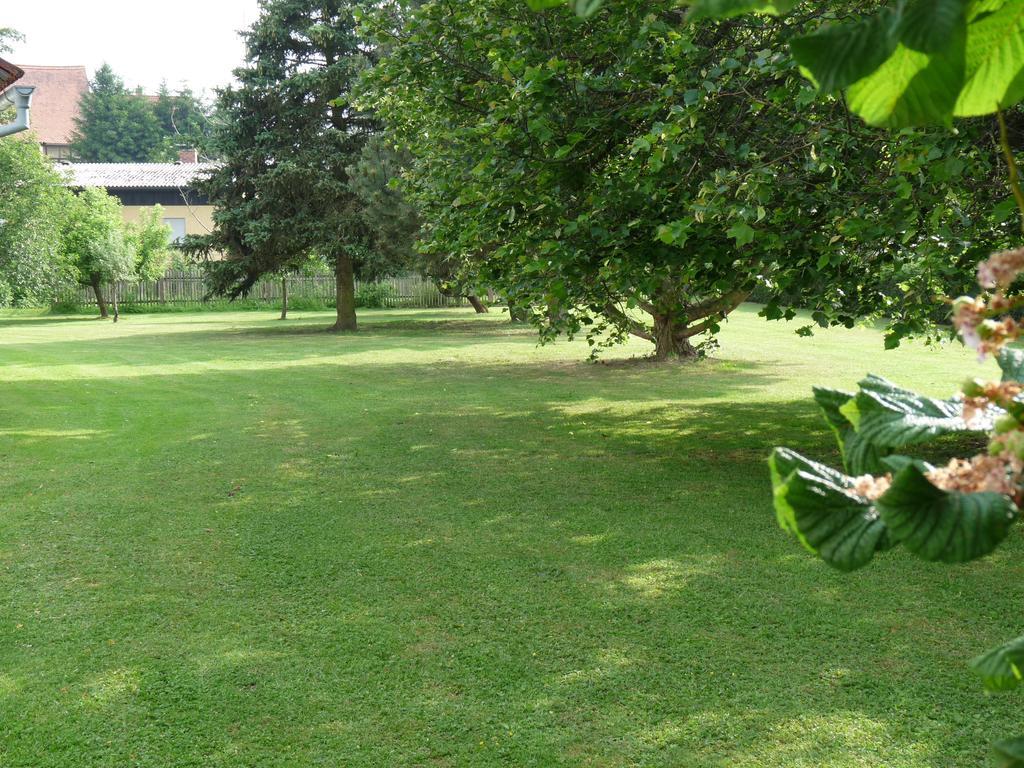 Ferienhaus Muehlblick Oberdachstetten Værelse billede